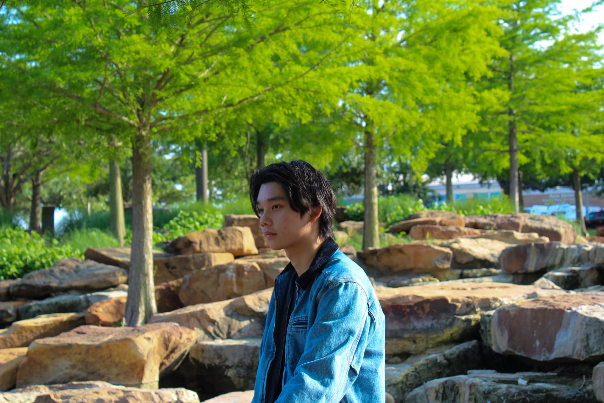 Kody Chu Blurred Background